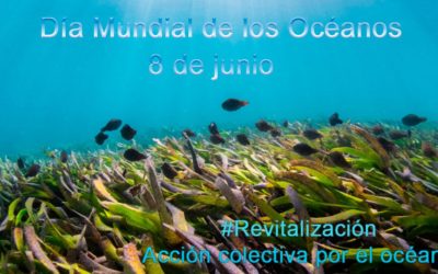 Dia Mundial de los Océanos