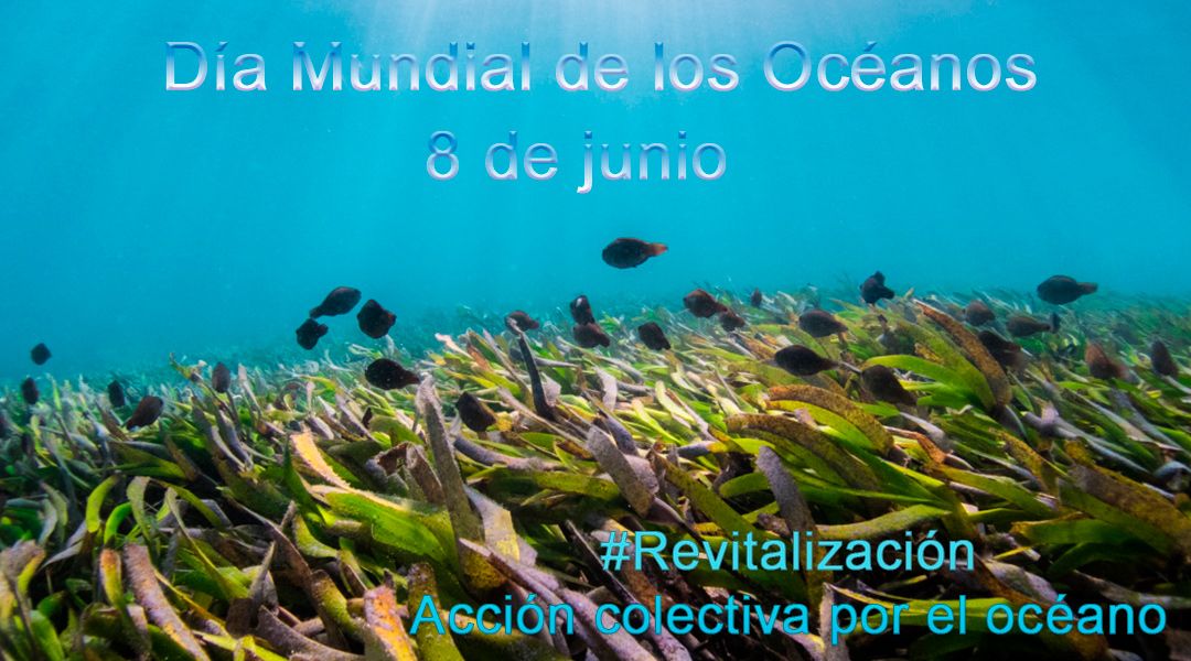 Día Mundial de los Océanos