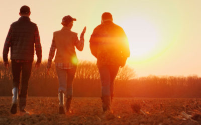 HEROGRA Group a la vanguardia de la agricultura ecológica