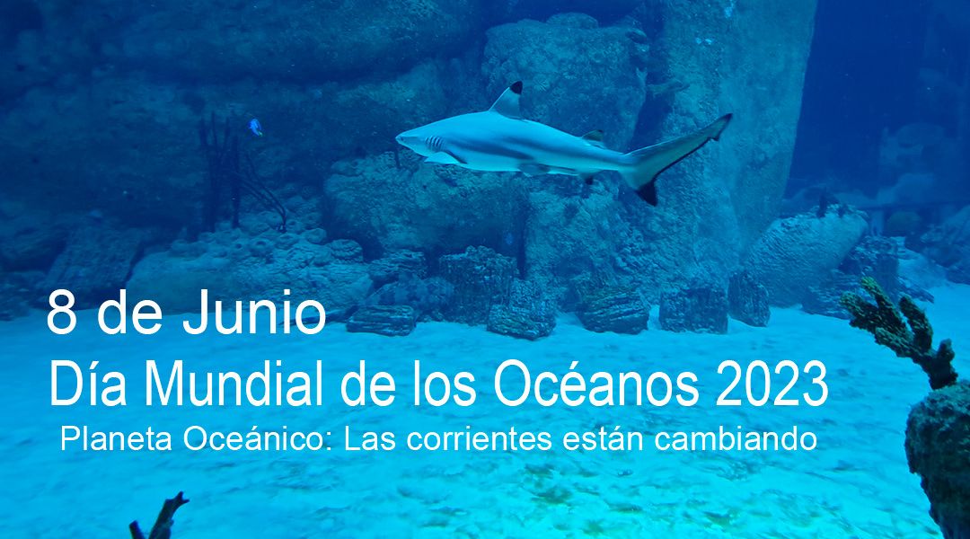 Portada Día Mundial de los Océanos 2023