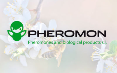 Pheromon
