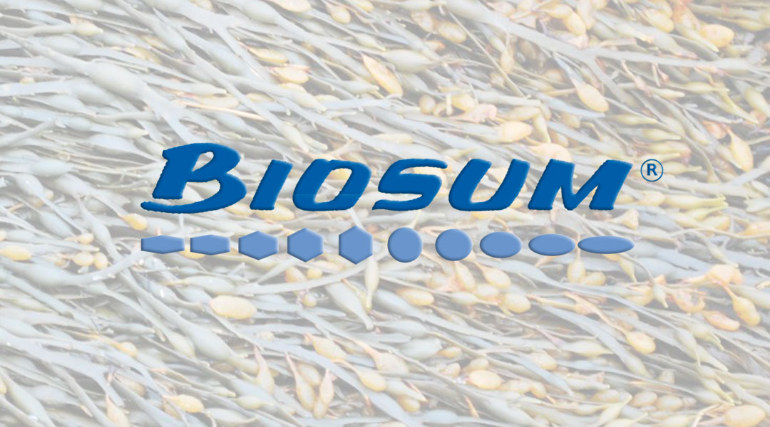 Fertilizantes a base de algas Biosum