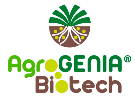 Agrogenia