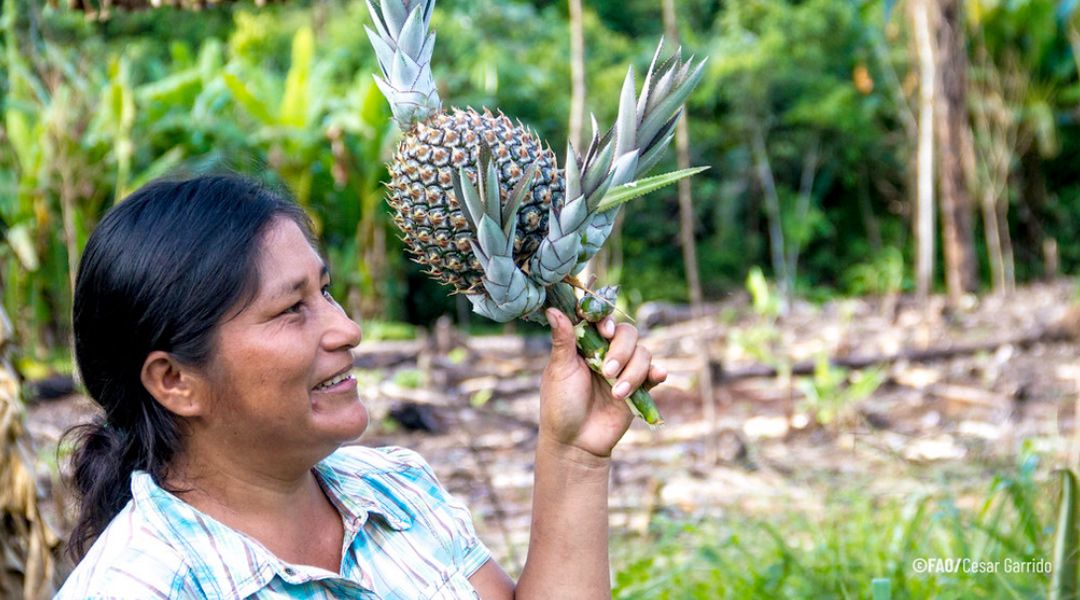 Mujer rural