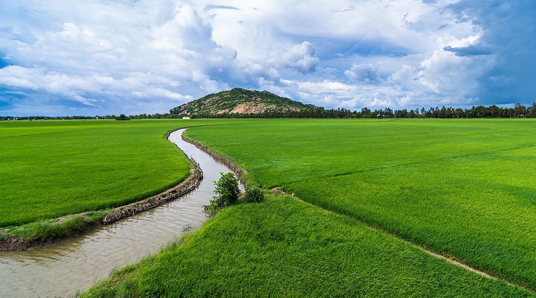 Campo y regadío