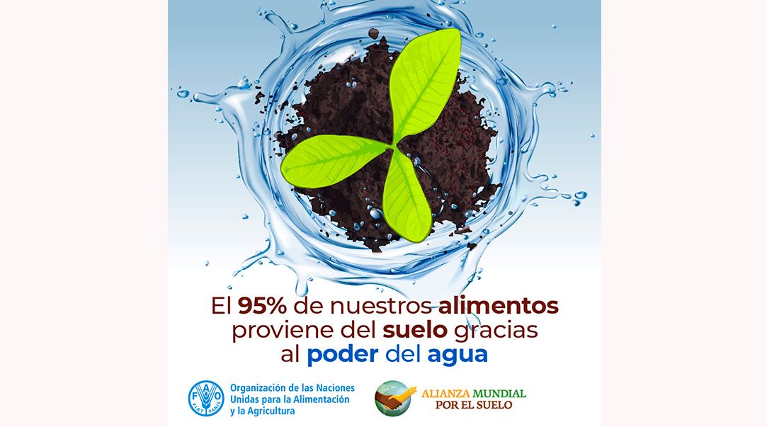 El poder del agua para la agricultura 