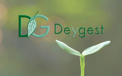Deygest