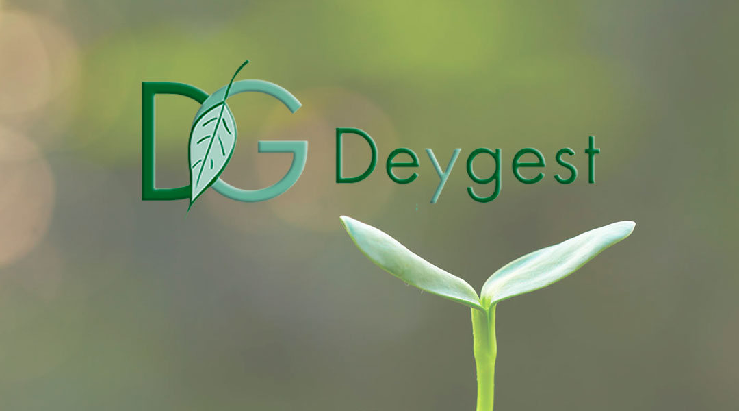 Deygest