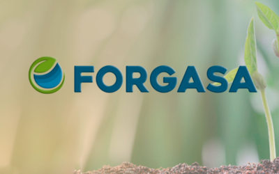 Forgasa