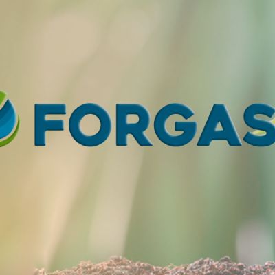 Fertilizantes Forgasa