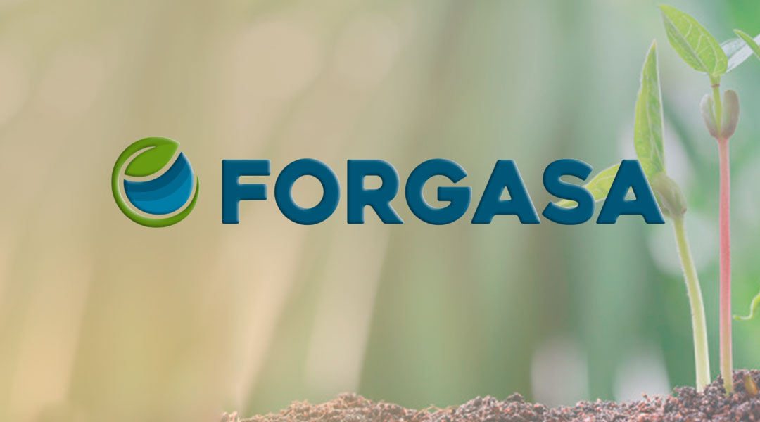 Forgasa