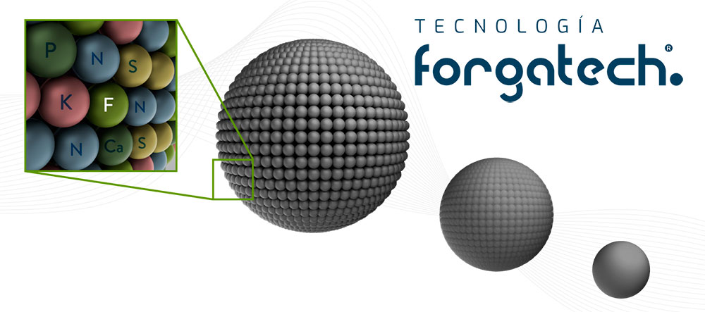 Tecnología Forgatech