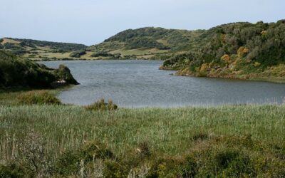 Día mundial de los humedales 2025