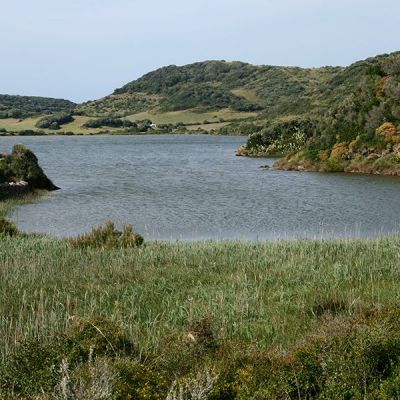 Albufera. Parque natural de Menorca