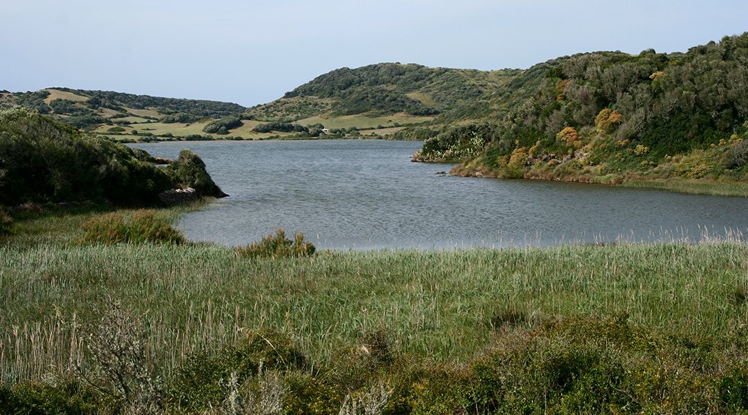 Albufera. Parque natural de Menorca