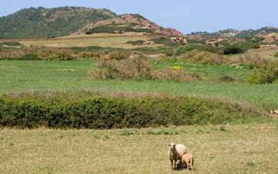 Aumentan los nuevos puntos de recogida de envases agrícolas