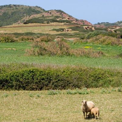 Campo limpio de residuos