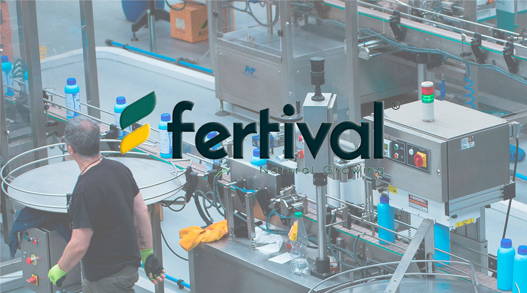 Fertival