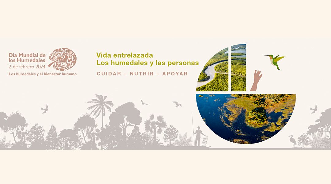 Humedales, cuidar, nutrir y apoyar