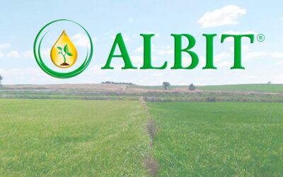Albit