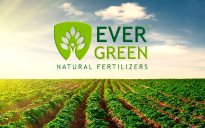 Evergreen Natural Fertilizers