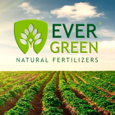 Evergreen Natural Fertilizers