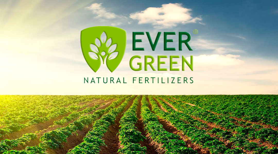 Evergreen Natural Fertilizers