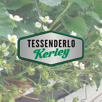 Tessenderlo Kerley