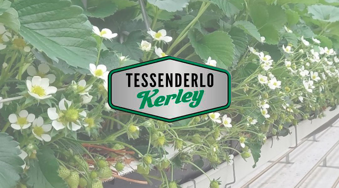 Tessenderlo Kerley