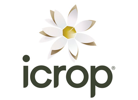 Icrop Box