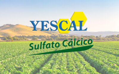 Sulfato Cálcico del Mediterráneo