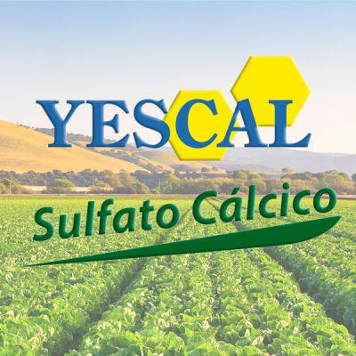 Sulfato Cálcico del Mediterráneo