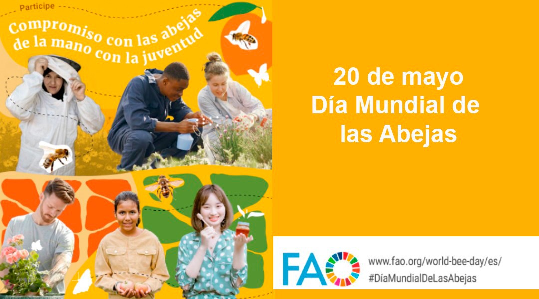 Día Mundial de las Abejas 2024