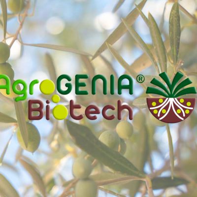 Agrogenia