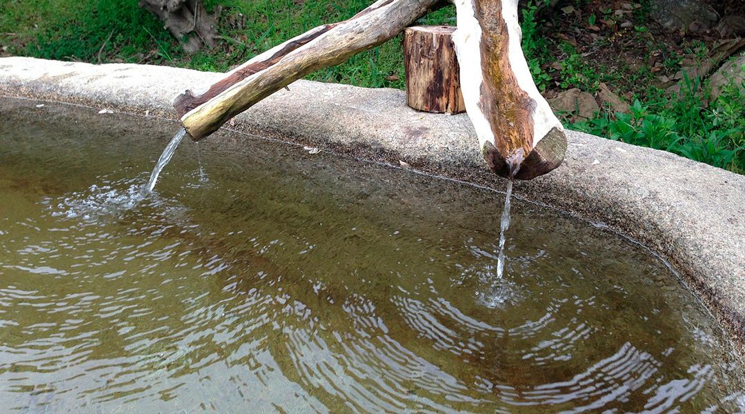 Agua pura de manantial