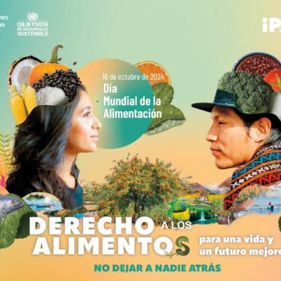 Derecho a los alimentos