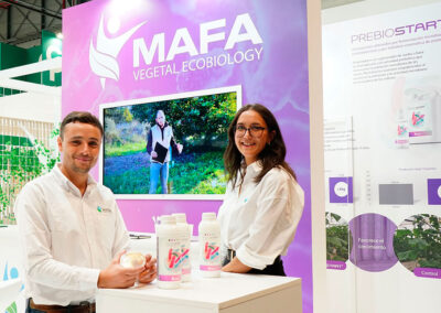 Mafa