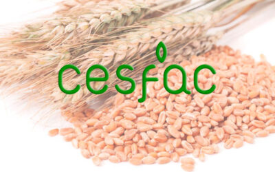 CESFAC