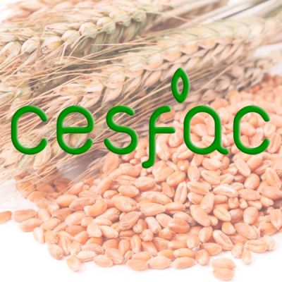 Logo de la asociación CESFAC