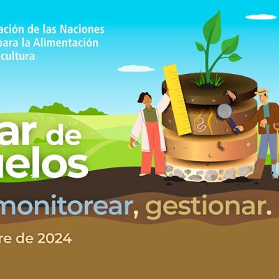 Cuidar de los suelos