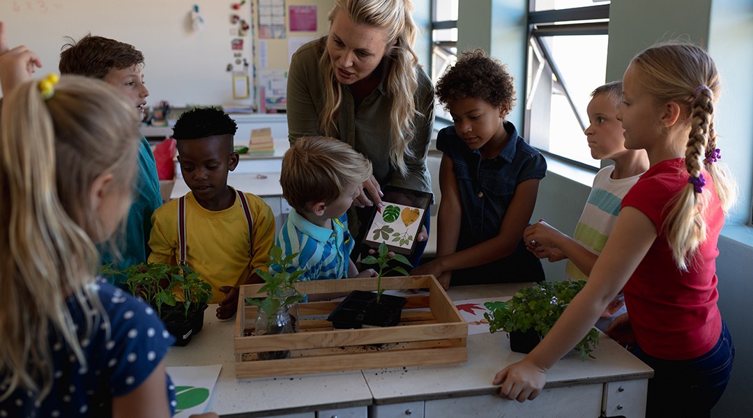 Proyectos de educación ambiental