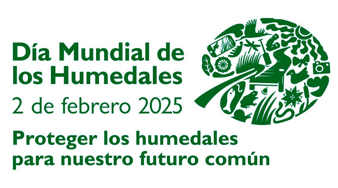 Restauración de los Humedales