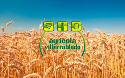 Cereales Gutiérrez Caballero