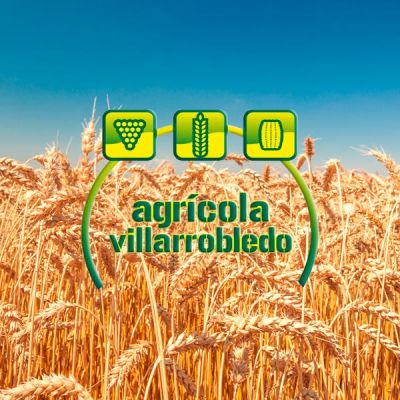 Agricola Villarrobledo trigales