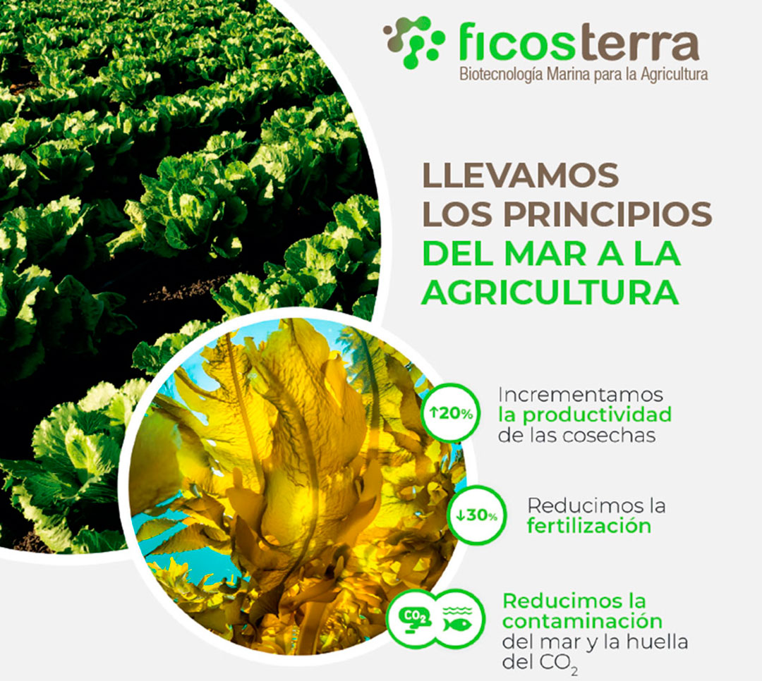 Catálogo de bioestimulantes de Ficosterra