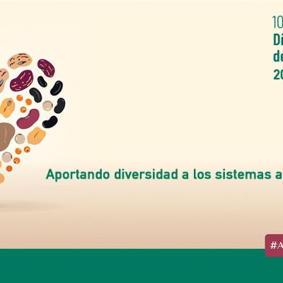 Celebración del día mundial de las legumbres