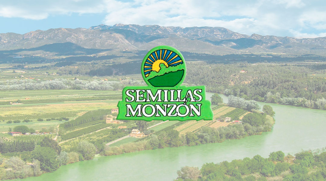 Semillas Monzón valle del Ebro