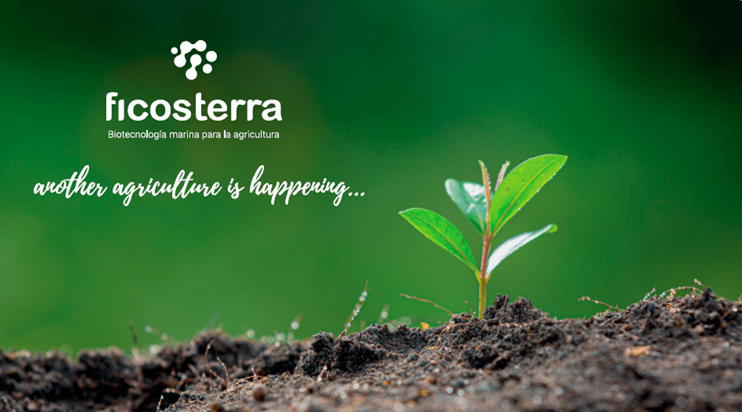 Ficosterra