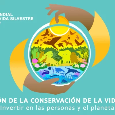 Vida silvestre2025