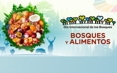 Día Mundial de los Bosques 2025